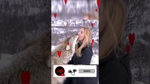 How White Women Greet Wolves #nature #funny #funnyshorts