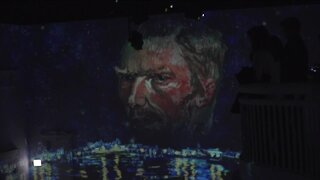 Make sure you buy tickets for the right Van Gogh exhibit