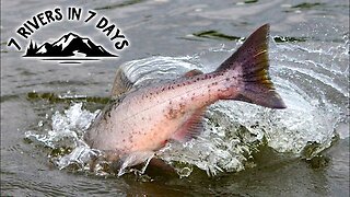Fishing 7 Rivers In 7 Days, Over 600 Miles Traveled. - 7 Day Challenge Official Movie
