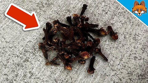 THEREFORE you should put CLOVES behind your DOOR 💥 (GENIUS Trick) 🤯