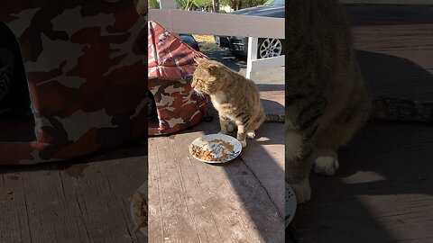 Benny Is Talking Food & Romance.