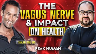 The Vagus Nerve And The Impact On Your Health
