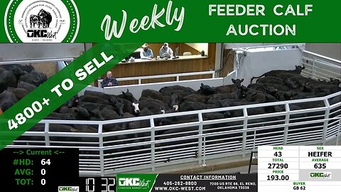 3/15/2023 - OKC West Feeder Calf Auction