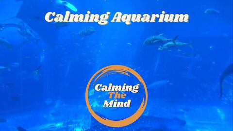 2 Hour Calming Aquarium | No Sound | Screensaver | Sleep Aid