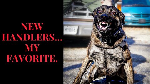 Police K9 So you want to be a K9 Handler?