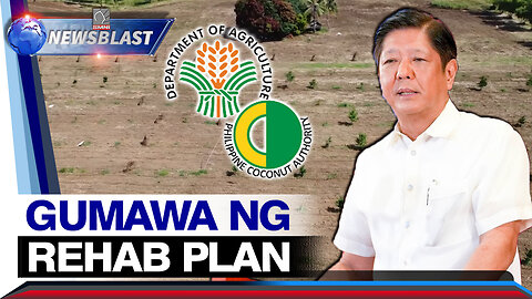 PCA, inatasan ni PBBM na gumawa ng rehab plan para sa coconut industry; 100-M niyog, target itanim