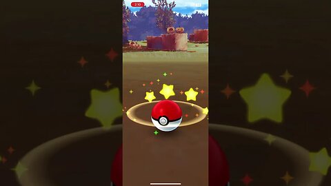 Pokémon Go - Catching Wild Dedenne