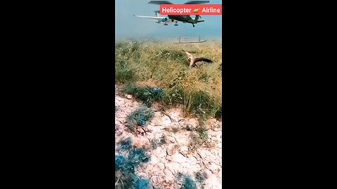 helicopter Landing//🚁😱😎😎#shortsvideo
