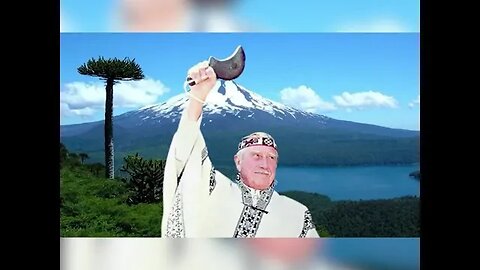 LITTLE DARK AGE AUGUSTO PINOCHET MILITARY GOVERNMENT OF CHILE