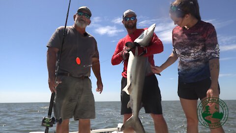 Season 2, Ep. 06: Sapelo Sharks | Altamaha River Sportsman