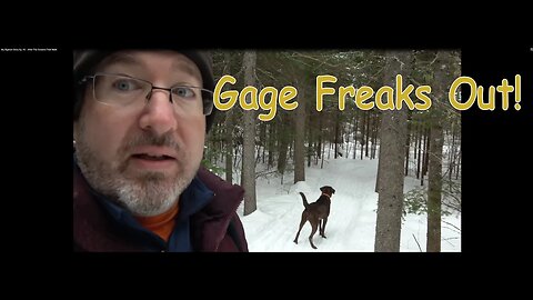 My Bigfoot Story Ep. 43 - Gage Freaks Out