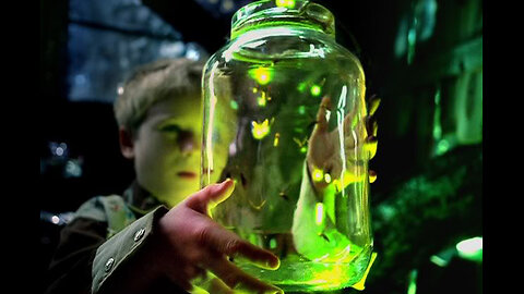 "How Fireflies Light Up" - No Batteries Required !