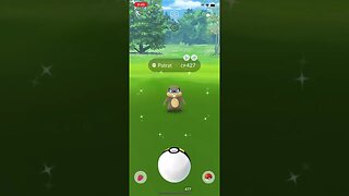 Shiny Compilation