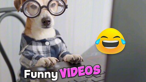 Funny Lyrics | Funny Memes | Funny Videos