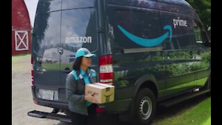 Porch Pirates steal from 1 in 5 Americans