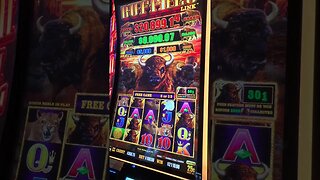 Oh Yeah 😝 Buffalo Link Jackpot #casino #lasvegas #slots