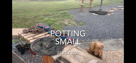 Potting Small