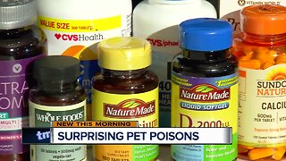 These surprising pet poisons could be lurking in your home