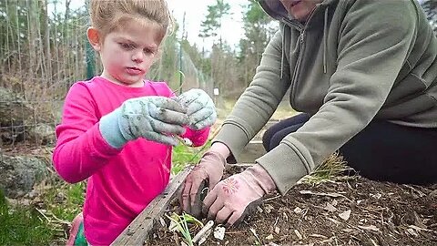 We Planted 300 of These To Feed Us All Winter