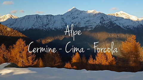 2023 | Alpe Cermine - Cima - Forcola