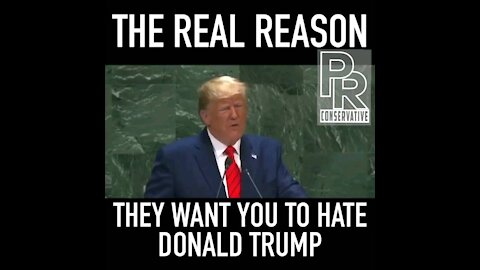 The Real Reason They Want You To Hate Trump