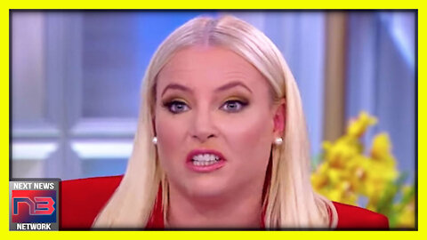 Meghan McCain EXPLODES on Dems Who Want to Deprogram Trump Supporters