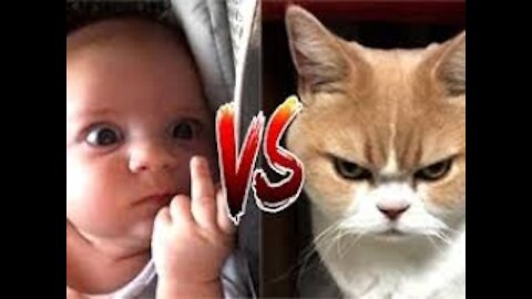 baby vs cat funny video part 1