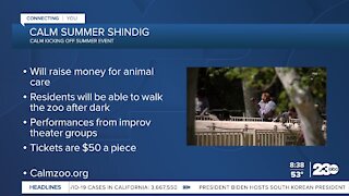 Calm Zoo kicks off Summer Shindig