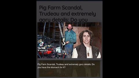 Pig Farm Scandal Article