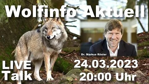 Wolfinfo Aktuell LIVE Talk 22 ( Wölfe in Baden Württemberg )