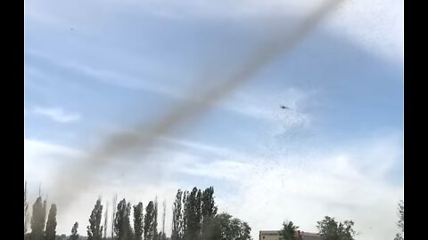 A Giant Mosquito Tornado