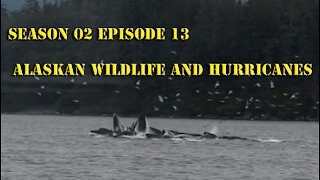 Alaska Wildlife and Hurricanes S02 E13 Sailing with Unwritten Timeline