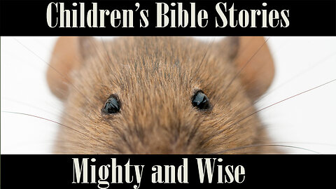 Children's Bible Stories-Mighty and Wise