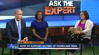 Ask the expert: Support of pet victims of hurricanes