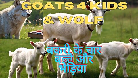 goats's 4 kids and wolf