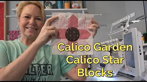 Calico Garden Quilt, Calico Star Blocks, Organize, ScanNCut, BES, Brother PR1055 Scan & Center
