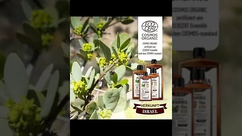 Jojoba für Haare, Haut und Nägel