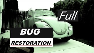 Bug Restoration (Official Video)