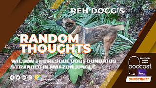 Wilson the Rescue Dog Found Kids Stranded in Amazon Jungle