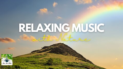 Relaxing Sleep Music • Deep Sleeping Music, Relaxing Music, Stress Relief, Meditation Music