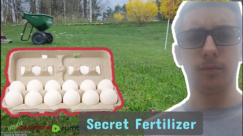 Use this Natural & Cheap FERTILIZER for ANYTHING