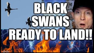 CAUTION, BLACK SWANS READY TO LAND, MARKETS BRACE, INVESTORS PREPARE, WE TOLD YOU