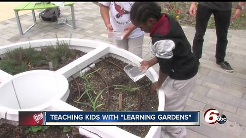 Kids taught sustainable living with "learning gardens" at Indy schools