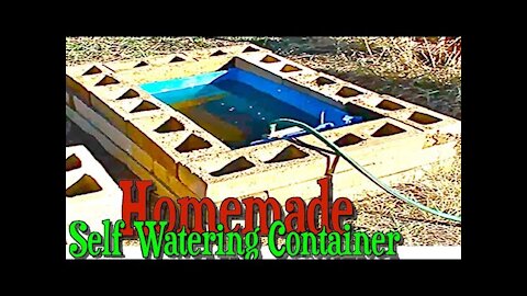 Homemade Large Self Watering Container Gardening with Rain Barrel for Automatic Watering
