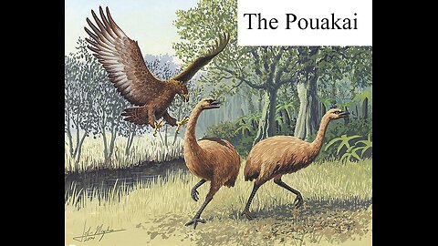 The Pouakai