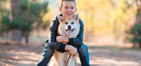 *HOW CUTE IS THAT* | Dogs and Owners been separeted for long time before they finally meet again