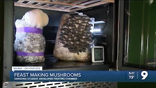 UArizona student creates fruiting-chamber for local restaurant