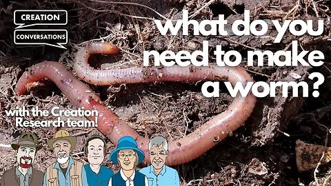 What Do You Need To Make A Worm? - Creation Conversations