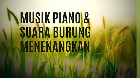 Music Tidur Tenang | Piano & Suara Burung Menenangkan