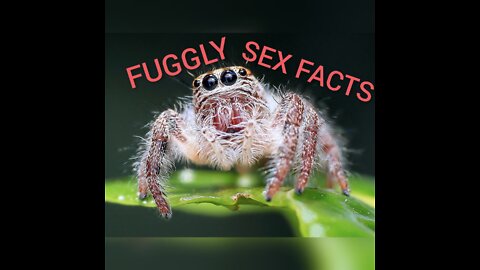 FUGGLY SEX FACTS!!